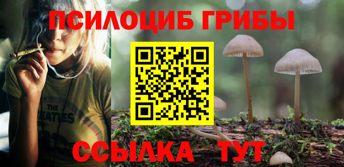 Галлюциногенные грибы GOLDEN TEACHER  Псилоцибиновые грибы GOLDEN TEACHER  продажа наркотиков  Сыктывкар  Вход с VPN 